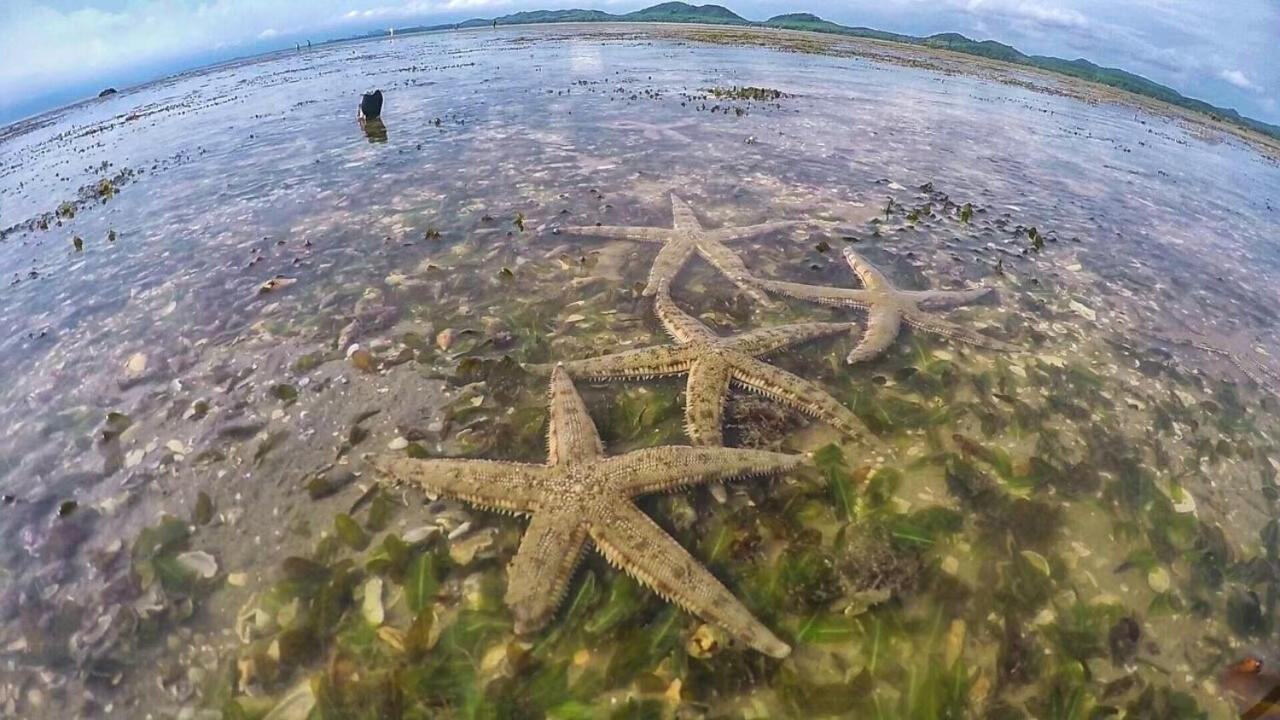 Bankruchaem Homestay Kohpu Ko Pu エクステリア 写真