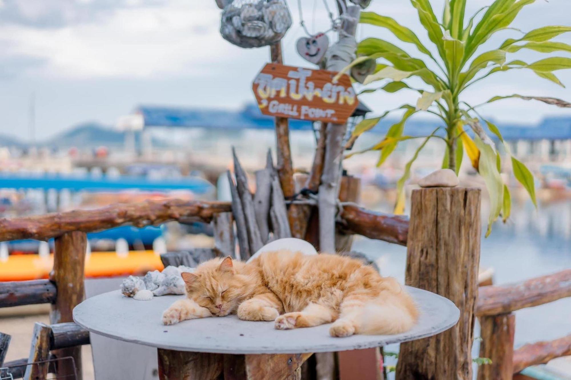 Bankruchaem Homestay Kohpu Ko Pu エクステリア 写真